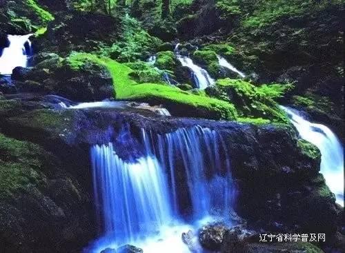 模拟山羊